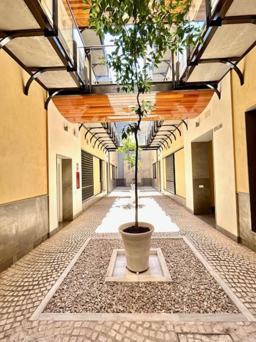 Hispalis Patio Del Rinconcillo Sevilla Exteriör bild